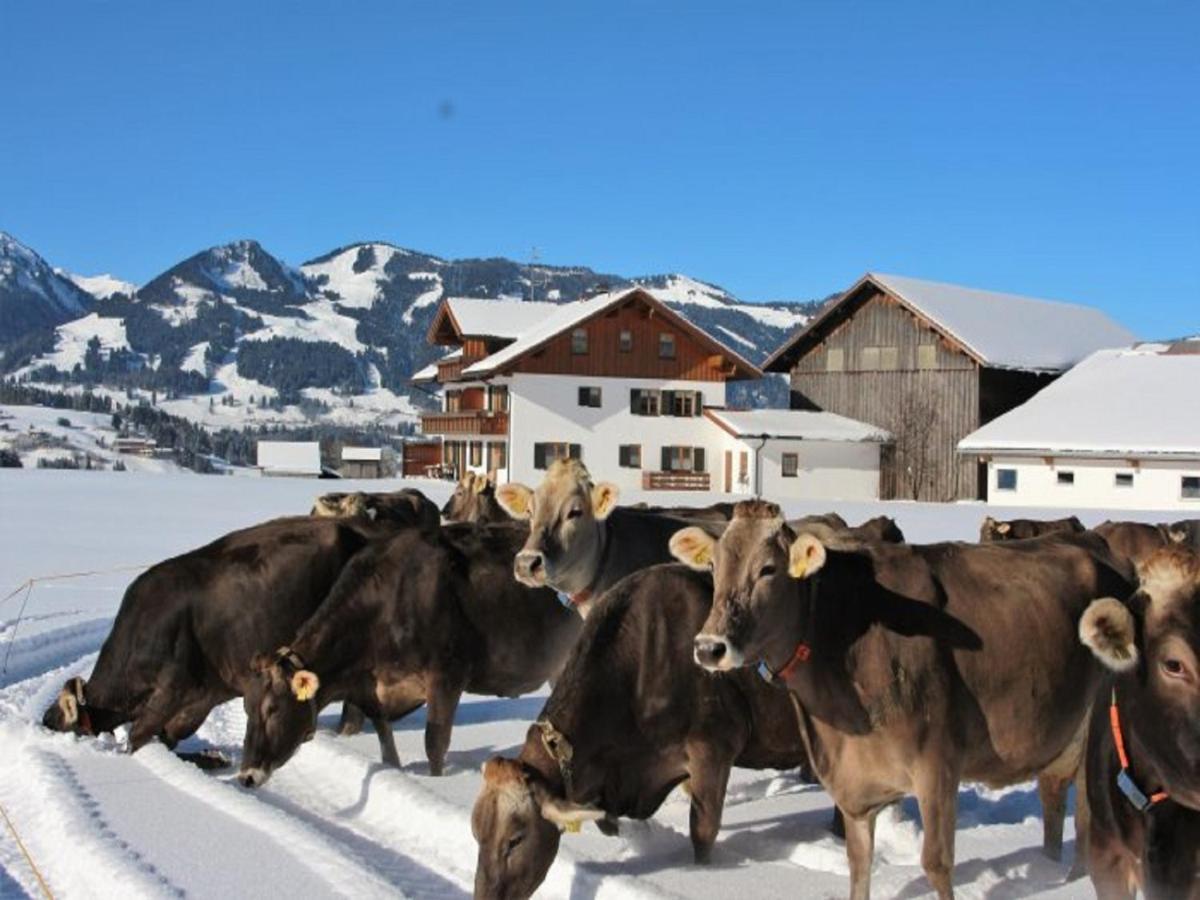 Hemerhof - Ferienwohnungen Oberstdorf Exterior foto